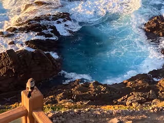 2b372a55-9157-4e12-a954-07dfaa0a82e5.jpeg